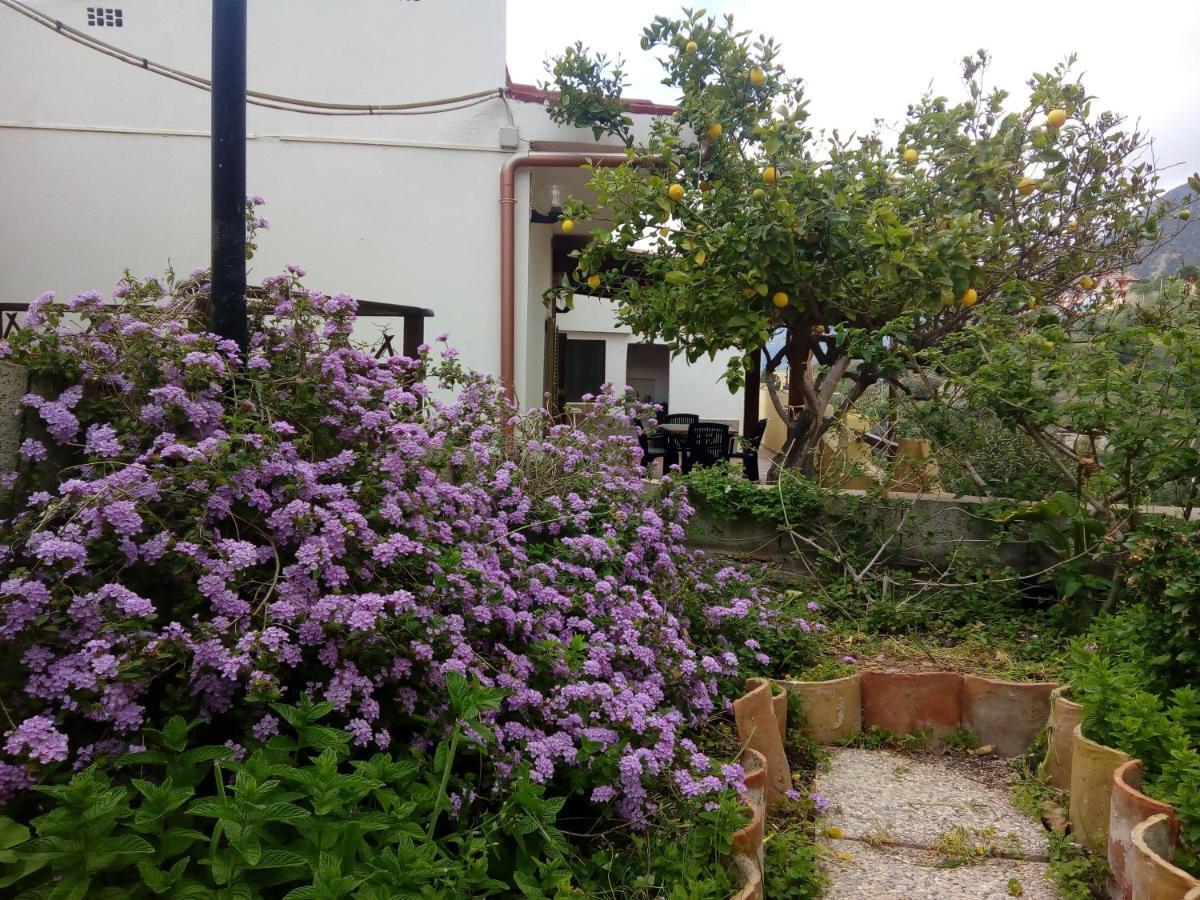 Sa Corte Antiga Nebida Εξωτερικό φωτογραφία